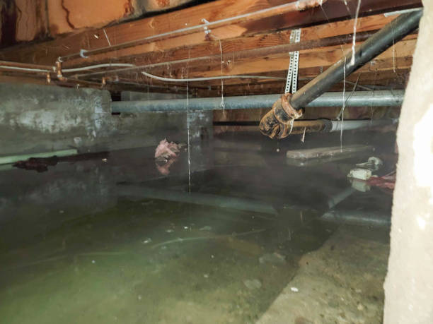 Trusted Enderlin, ND Water damage restoration Experts