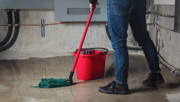 Best Mold removal after water damage  in Eerlin, ND