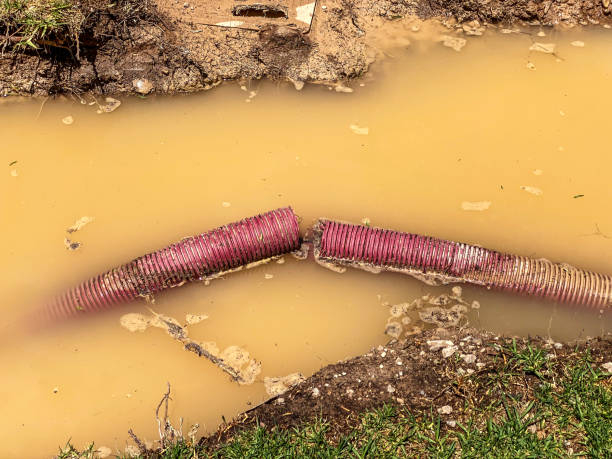 Best Commercial water damage restoration  in Eerlin, ND