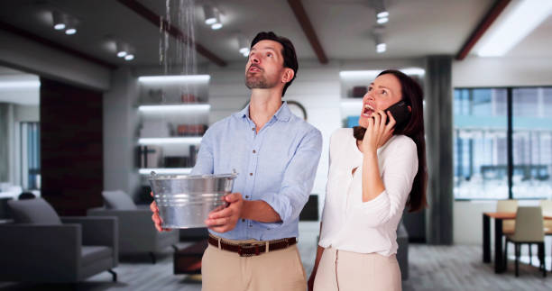 Best Carpet water damage restoration  in Eerlin, ND